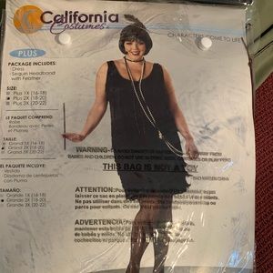 Plus size flapper costume with accessories